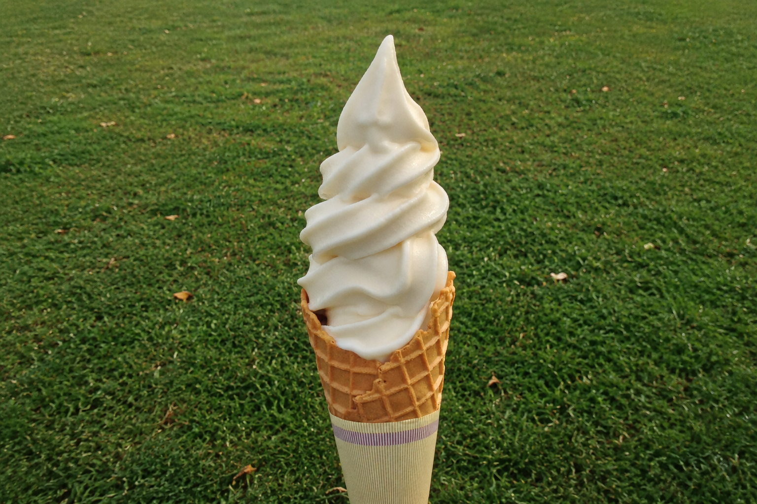牧場のソフトクリーム